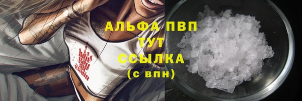 индика Армянск