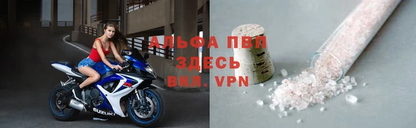 стаф Арсеньев