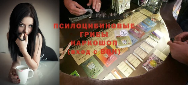 стаф Арсеньев